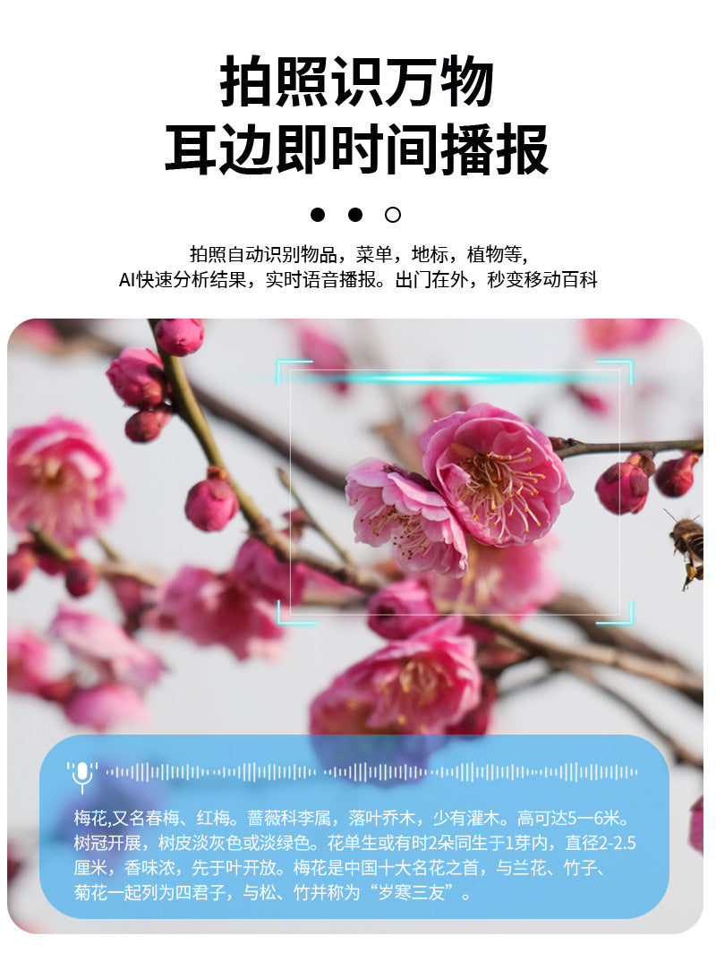 Factory Wholesale ai Smart Glasses Bluetooth Call Translation Photo Camera32gb Storage supports live streaming with long battery life