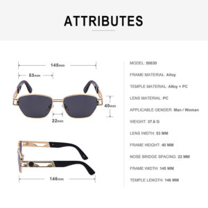 2025Steampunk Sunglasses New Men's Trendy Fashion Retro Small Square Frame Sunglasses Men sunglasses
