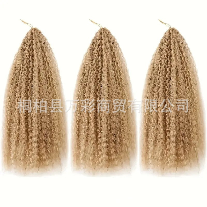 Cross-border Wig Hot Item Afro Kinky Curly Crochet Hair High Temperature Silk Crochet Hair - 图片 22
