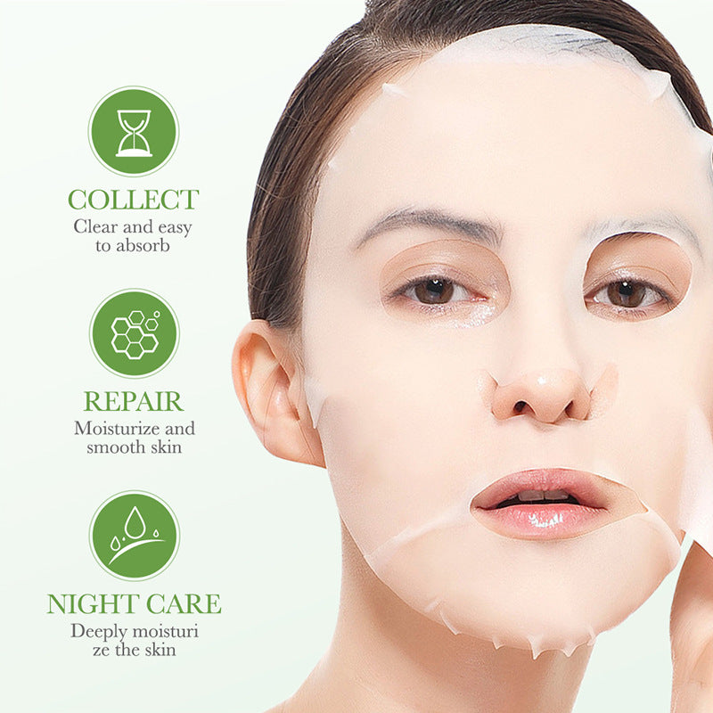 Plant Enzyme Mask25gBIOAOUA Hydrating and Moisturizing Tablets for Cross-Border Wholesale - 图片 4