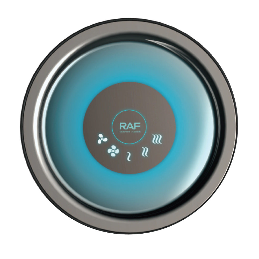 RAF European standard intelligent temperature control high-power high-speed hair dryer for home use Quick-Dry Hair Care Negative Ion R407 - 图片 19