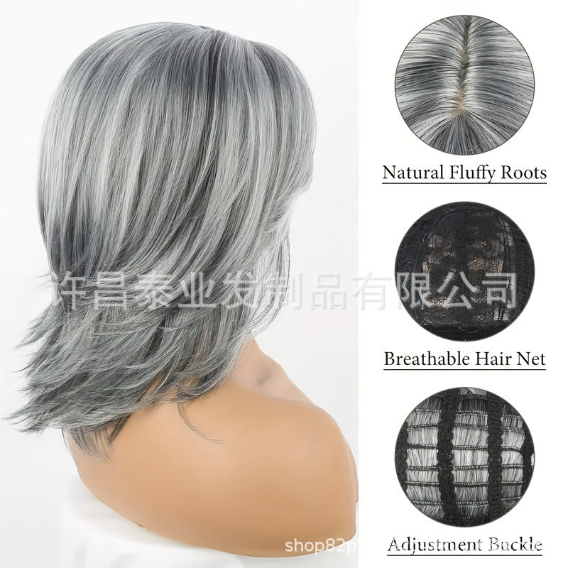 European and American Foreign Trade Cross-Border Wig for Women, Middle Part, Eight-Character Bangs, Middle-Aged and Elderly Fashion Short Straight Hair Full Wig, Factory Direct Sale - 图片 10