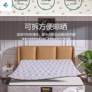 Top Ten Famous Brands of Children's Soft and Hard Mattresses Economical Type20CM Thick Home Bedroom Independent Spring Latex Coconut Palm Rental