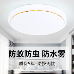 led Ceiling Lamp Modern Minimalist Acrylic Living Room Lamp Round led Bedroom Restaurant Light Balcony Aisle Engineering Light