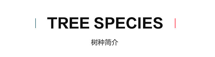 In-stock Solid Oak Flooring from Source Scar Modification Hand Scratch Pattern Original Wood Floor Solid Wood with Dragon Bone Design - 图片 15