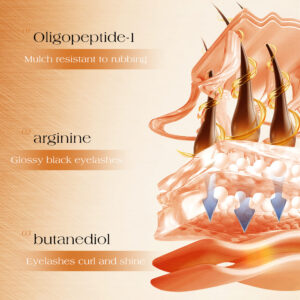 European Dropshipping Double-Ended Mascara Curling Dense Eyebrow Liquid Packaging Makeup Customizable Label