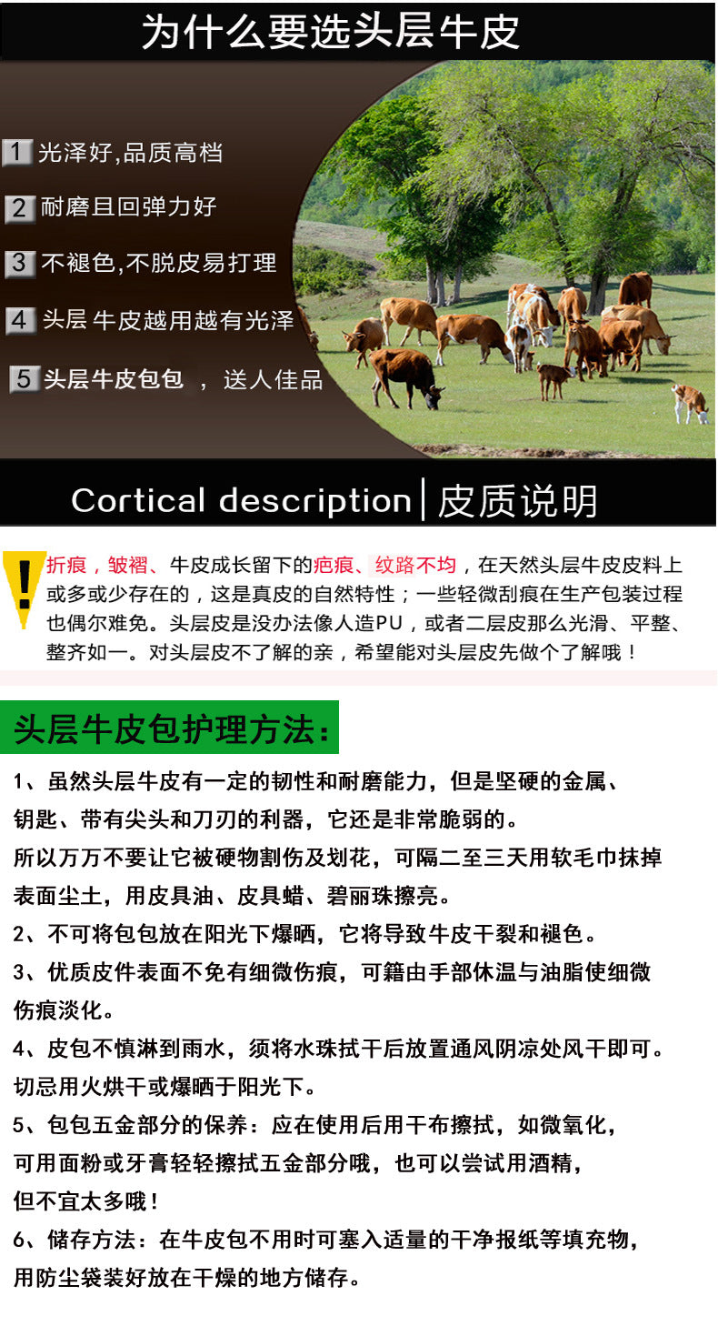 Guangzhou Luggage2025New Niche Simple Women's Bag Summer Versatile High-End Large Capacity Genuine Leather Underarm Bag - 图片 26