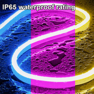 481feb41-7ee3-4d80-bf29-d6942acf33b2