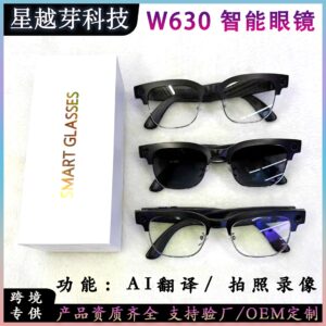 W630Smart Glasses800Megapixel photochromic lens with image stabilization for video recording AI Simultaneous Translation Recognition