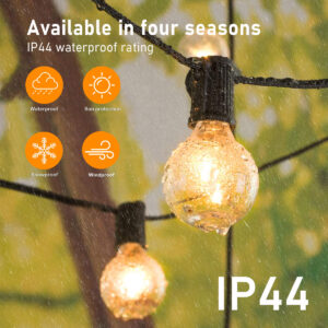 5a8969c2-e5cd-4aab-bd63-6e4b16b85087