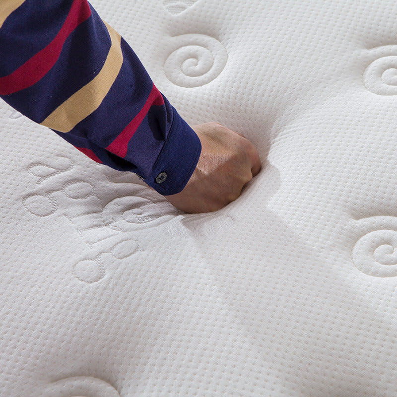 Mattress Simmons Manufacturer Hotel Dormitory Knitted Fabric Sponge Spring1.5Rice1.8Latex Spine Protector