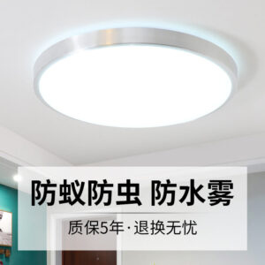 Acrylic LED Ceiling Lamp Master Bedroom Lamp Modern Simple Cozy Balcony Lamp Corridor Lamp Kitchen Lamp Entrance Lamp