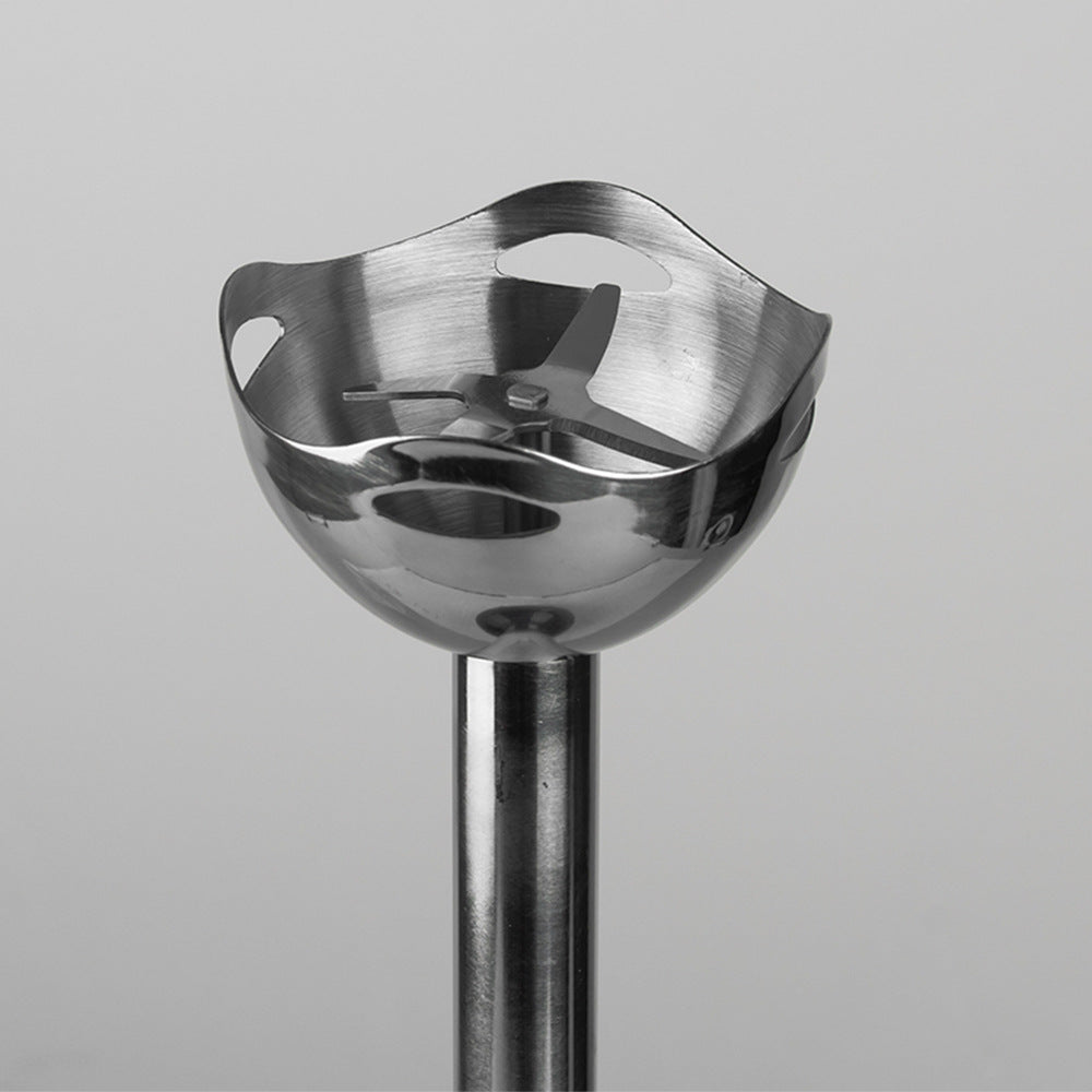 RAF European Standard Fruit Juicer Food Processor Kitchen Small Appliance Stainless Steel Electric Mixer Single Stick - 图片 19