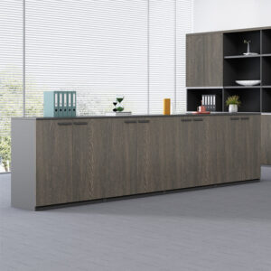 File Cabinet Low Cabinet Floor Cabinet Storage Cabinet Wooden Office Partition Cabinet Document Cabinet Archive Cabinet with Lock Office Cabinet