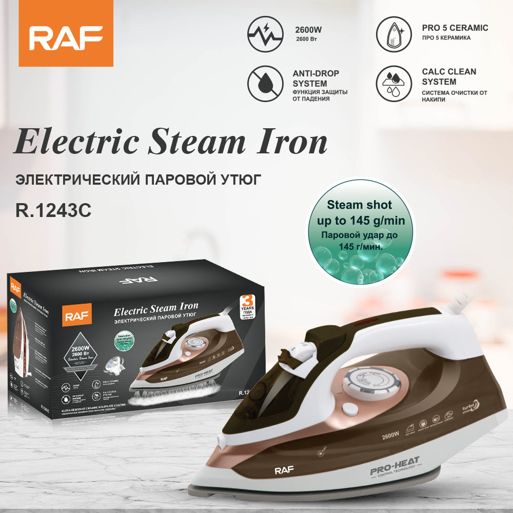 European Standard Household Steam Electric Iron Handheld Mini Garment Steamer Small Portable Ironing Machine R.1243