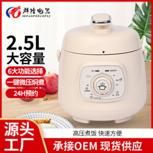 Factory Export  Household2.5L Electric Pressure Cooker Large Capacity Rice Cooker Multi-Function Wholesale Pressure Cooker