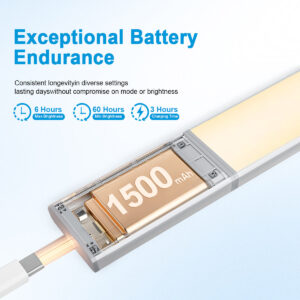 1d2592b6-368d-4461-8c94-97e66a2f3303