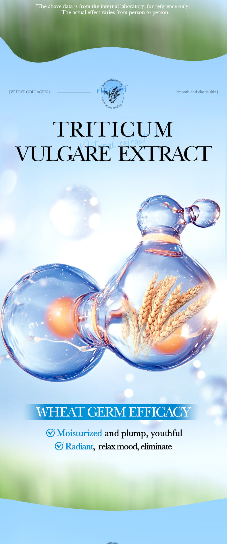 Cross-border Face Mask25ml Plant Series Wheat Olive Moisturizing Hydrating Mask Export Manufacturer Wholesale - 图片 13