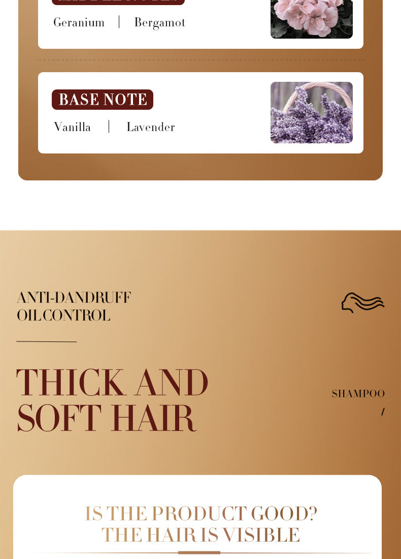 Ginger Shampoo Sachet SADOER Moisturizing, Smooth, Deep Cleansing, Portable Pack, Cross-Border Foreign Trade Wholesale - 图片 16