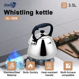 Cross-border stainless steel chirping kettle gas open flame kettle 3L whistling kettle whistle pot wholesale