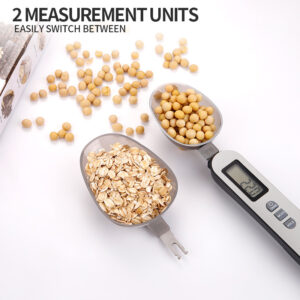 Foreign trade exclusively supply 0.1g double spoon measuring scale 201 steel replaceable measuring spoon medicinal food coffee auxiliary precision 500g range
