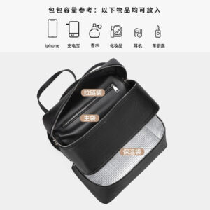 Korean Style Lunch Box Bag Insulated Bag ins Wind Backpack Women's Soft Leather Large Capacity High-end Simple College Style Backpack