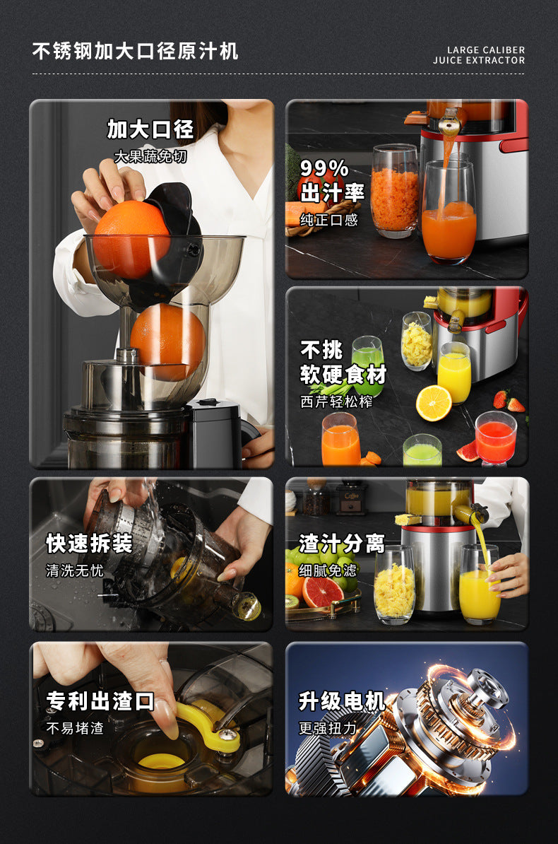 Dropshipping Juicer with Pulp Separator, Small Household Juice Maker, Stainless Steel Multifunctional Fruit Extractor - 图片 10