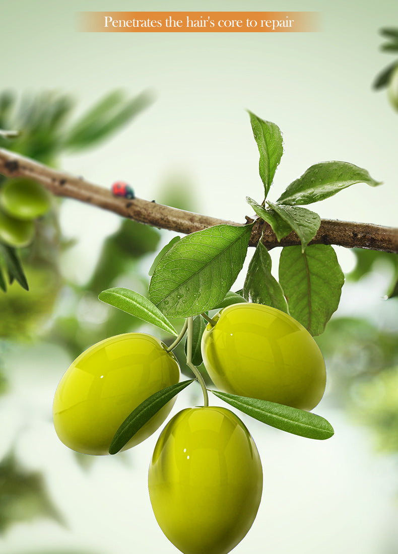 Olive Oil Hair Mask SADOER Repair Smooth Nourishing Hair Conditioner Cross-Border Wholesale - 图片 16