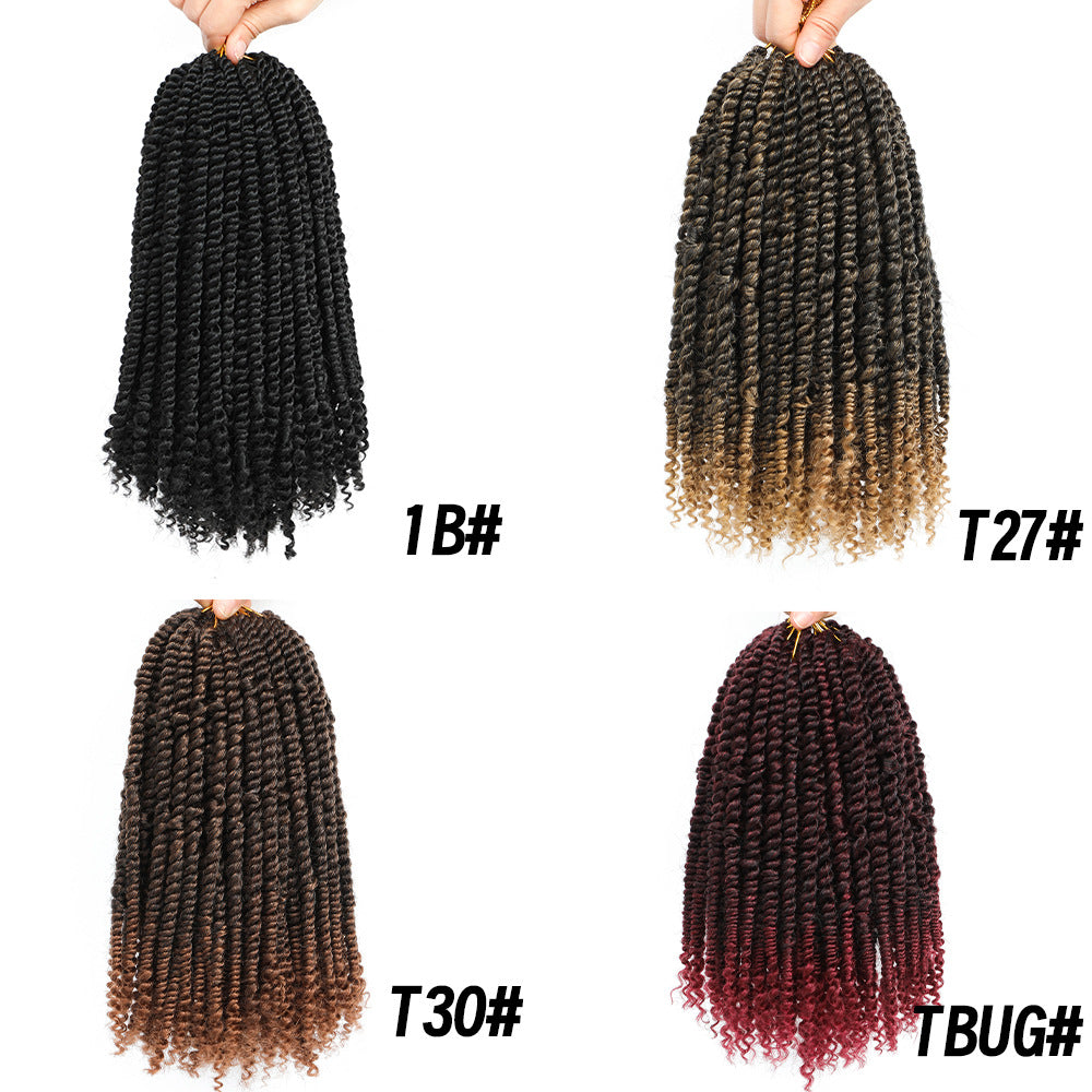 TEMU Cross-Border Foreign Trade Hot-Selling European and American Crochet Hair Synthetic Fiber Passion Twist Crochet Hair - 图片 5