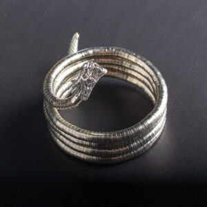 Men's New Necklace Women's Versatile High-end European and American Style Jewelry ins Minimalist Snake Bone Chain Snake Necklace