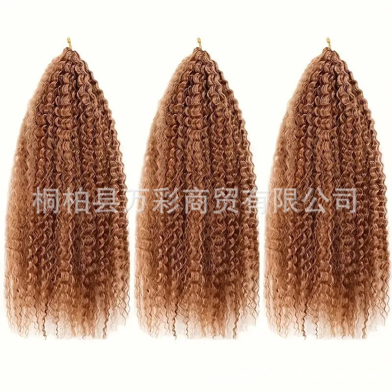 Cross-border Wig Hot Item Afro Kinky Curly Crochet Hair High Temperature Silk Crochet Hair - 图片 8