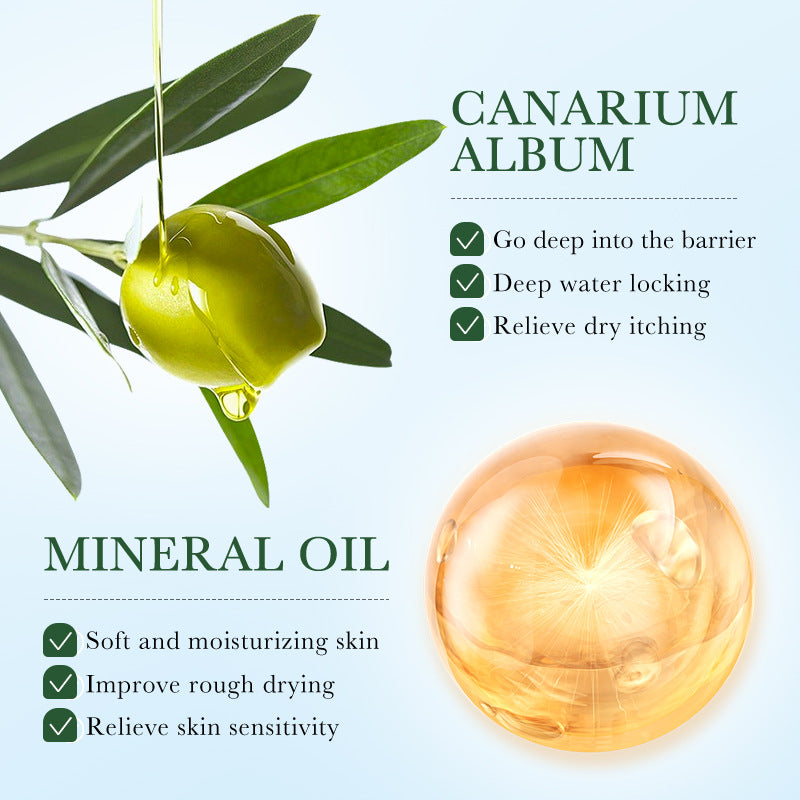 Cross-border Lotion150ml Olive Oil Nourishing Lotion Skin Brightening and Rejuvenating Lotion Wholesale from Foreign Trade Manufacturer - 图片 4