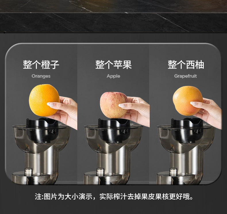 Dropshipping Juicer with Pulp Separator, Small Household Juice Maker, Stainless Steel Multifunctional Fruit Extractor - 图片 12