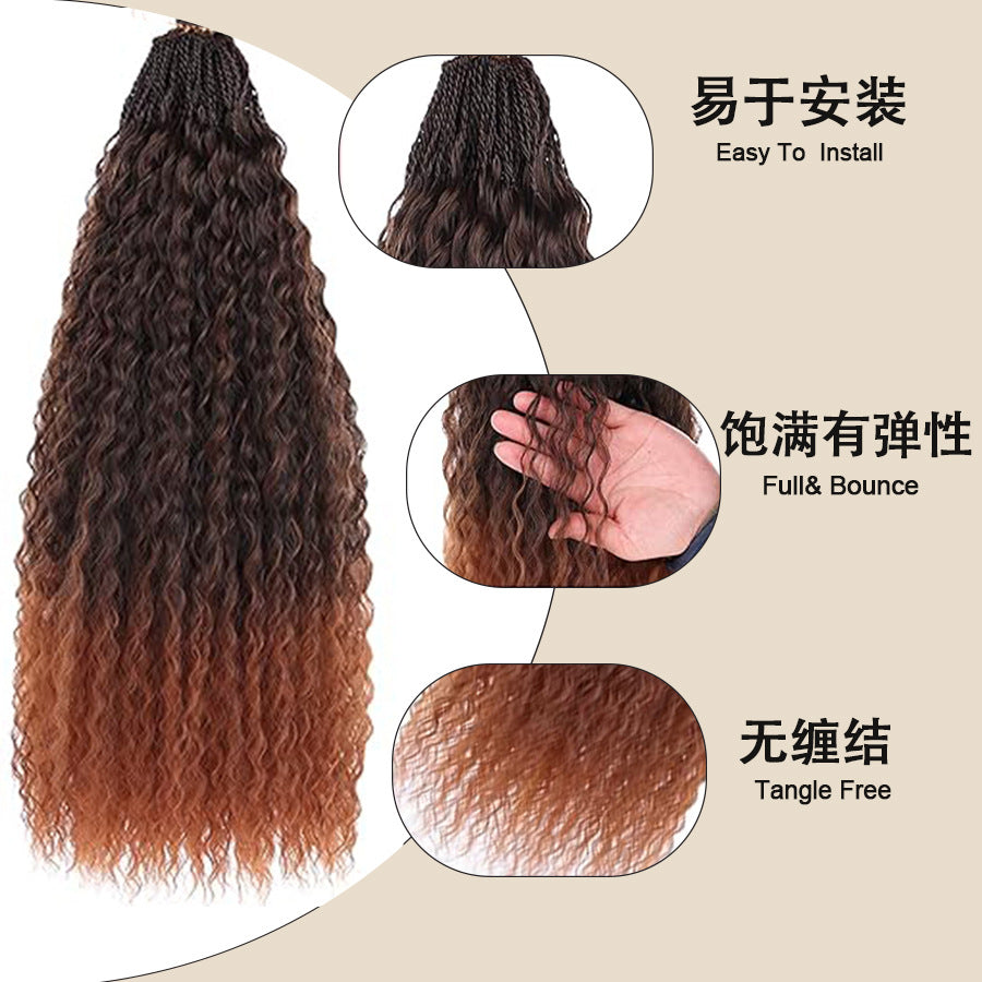 Cross-border European and American Wigs Two-strand Braids Brazilian Small Braids Micro Brazilian Kinky Curly - 图片 21