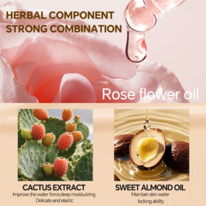 Genuine Air Cushion BB Cream Waterproof Concealer with Makeup Brush and Puff CC Cream Four-Piece Set20g*3Version