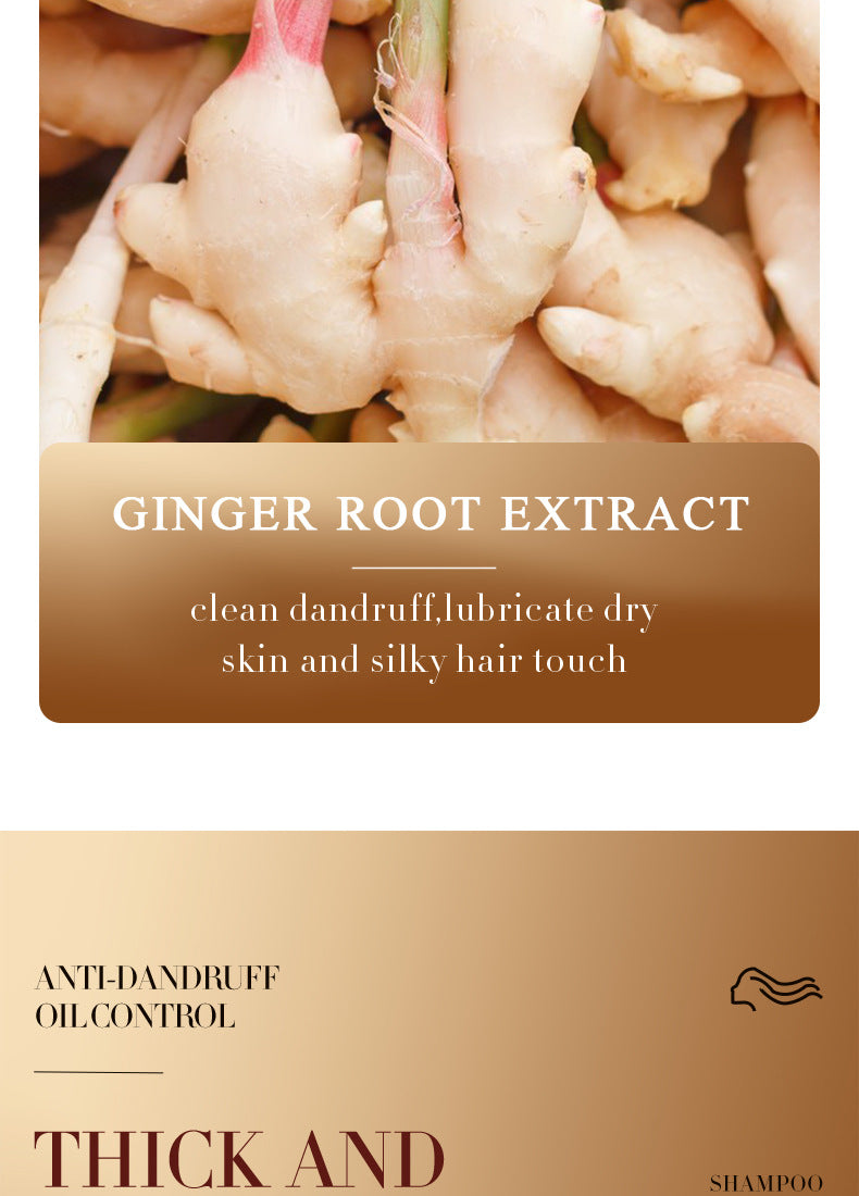 Ginger Shampoo Sachet SADOER Moisturizing, Smooth, Deep Cleansing, Portable Pack, Cross-Border Foreign Trade Wholesale - 图片 12
