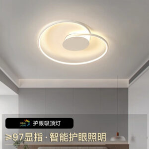 Bedroom light led Modern Minimalist Ceiling Light Internet Celebrity ins Creative Heart-Shaped Home Main Bedroom Study Zhongshan Lighting