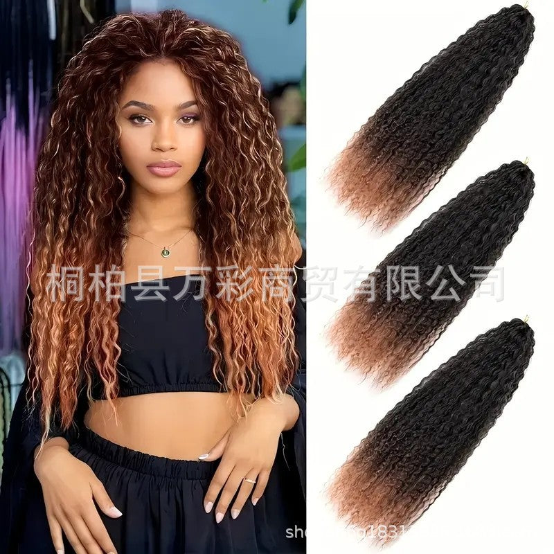 Cross-border Wig Hot Item Afro Kinky Curly Crochet Hair High Temperature Silk Crochet Hair - 图片 12