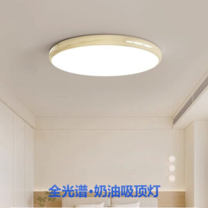 Ultra-Thin led Ceiling Light Simple Modern Zhongshan Master Bedroom Light Room Living Room Light Corridor Balcony Super Bright Lighting Fixture