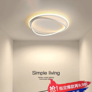 Nordic Light Luxury Bedroom Lamp LED Ceiling lamp for master bedroom, study room, dining room, simple modern oval light fixture