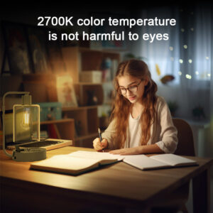 a9d9234a-c331-4f7d-bdda-40008f2dde5d