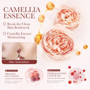 Camellia Skincare Set Boquan Ya Delicate Lubrication and Cleansing Five-Piece Set Export Manufacturer Wholesale